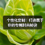 个性化定制：打造属于你的专属时尚秘诀（图2）