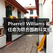 Pharrell Williams 被任命为联合国教科文组织亲善大使（图4）