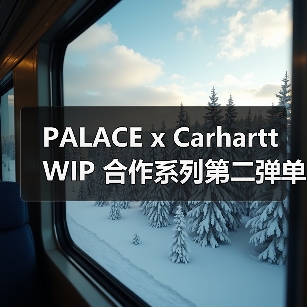 PALACE x Carhartt WIP 合作系列第二弹单品公开（图2）