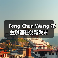 Feng Chen Wang 花盆雕塑鞋创新发布（图2）