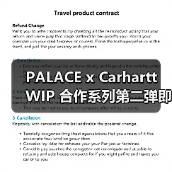 PALACE x Carhartt WIP 合作系列第二弹即将来袭（图2）