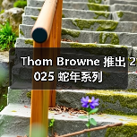 Thom Browne 推出 2025 蛇年系列（图2）