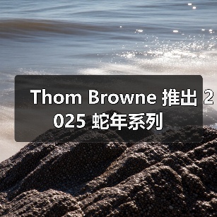 Thom Browne 推出 2025 蛇年系列（图4）
