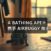 A BATHING APE®︎ 携手 AIRBUGGY 推出限量款宠物推车（图2）