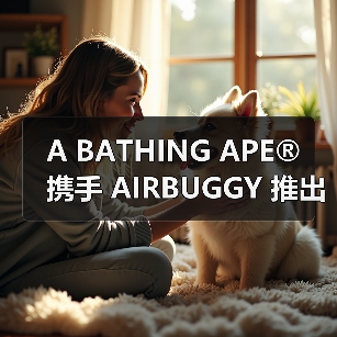 A BATHING APE®︎ 携手 AIRBUGGY 推出限量款宠物推车（图1）