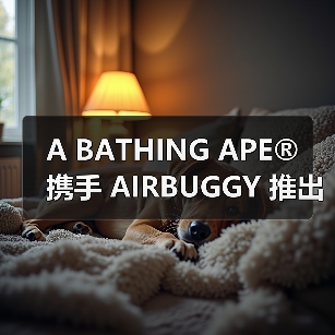 A BATHING APE®︎ 携手 AIRBUGGY 推出限量款宠物推车（图3）