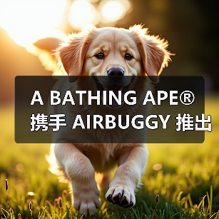 A BATHING APE®︎ 携手 AIRBUGGY 推出限量款宠物推车（图4）