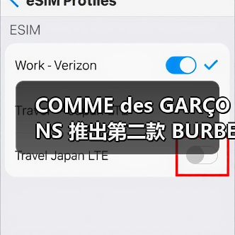 COMME des GARÇONS 推出第二款 BURBERRY 定制风衣（图2）
