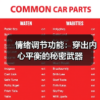 情绪调节功能:穿出内心平衡的秘密武器(图4) 情绪调节功能:穿出内心平衡的秘密武器(图4)