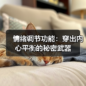 情绪调节功能:穿出内心平衡的秘密武器(图3) 情绪调节功能:穿出内心平衡的秘密武器(图3)