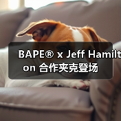 BAPE® x Jeff Hamilton 合作夹克登场(图3) BAPE® x Jeff Hamilton 合作夹克登场(图3)