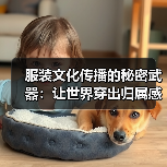 服装文化传播的秘密武器:让世界穿出归属感(图2) 服装文化传播的秘密武器:让世界穿出归属感(图2)