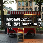 哈灵顿夹克走红,「鼻祖」品牌 Baracuta 了解一下(图4) 哈灵顿夹克走红,「鼻祖」品牌 Baracuta 了解一下(图4)