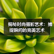 揭秘时尚摄影艺术:捕捉瞬间的完美艺术(图2) 揭秘时尚摄影艺术:捕捉瞬间的完美艺术(图2)