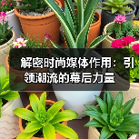 解密时尚媒体作用:引领潮流的幕后力量(图3) 解密时尚媒体作用:引领潮流的幕后力量(图3)
