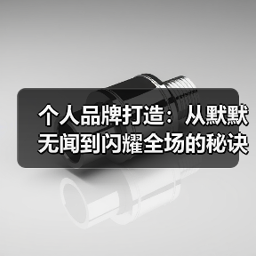 个人品牌打造：从默默无闻到闪耀全场的秘诀（图4）