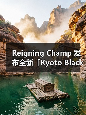 Reigning Champ 发布全新「Kyoto Black」系列（图3）