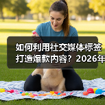 如何利用社交媒体标签打造爆款内容？2026年最新指南（图4）
