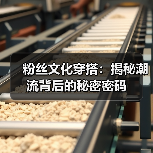 粉丝文化穿搭：揭秘潮流背后的秘密密码（图3）