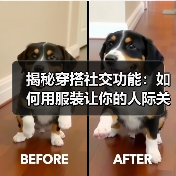 揭秘穿搭社交功能:如何用服装让你的人际关系飞跃提升(图2) 揭秘穿搭社交功能:如何用服装让你的人际关系飞跃提升(图2)