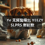 Ye 无预警释出 YEEZY SLPRS 新鞋款(图3) Ye 无预警释出 YEEZY SLPRS 新鞋款(图3)