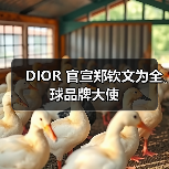DIOR 官宣郑钦文为全球品牌大使（图1）