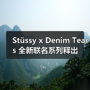 Stüssy x Denim Tears 全新联名系列释出(图4) Stüssy x Denim Tears 全新联名系列释出(图4)