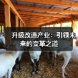 升级改造产业:引领未来的变革之道(图2) 升级改造产业:引领未来的变革之道(图2)