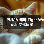 PUMA 起诉 Tiger Woods 商标侵权(图2) PUMA 起诉 Tiger Woods 商标侵权(图2)