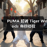 PUMA 起诉 Tiger Woods 商标侵权(图3) PUMA 起诉 Tiger Woods 商标侵权(图3)