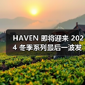 HAVEN 即将迎来 2024 冬季系列最后一波发售（图1）