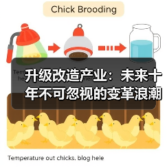 升级改造产业：未来十年不可忽视的变革浪潮（图2）
