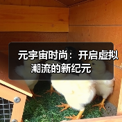 元宇宙时尚：开启虚拟潮流的新纪元（图1）