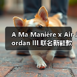 A Ma Maniére x Air Jordan III 联名新鞋款发售情报公开(图3) A Ma Maniére x Air Jordan III 联名新鞋款发售情报公开(图3)