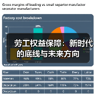 劳工权益保障:新时代的底线与未来方向(图2) 劳工权益保障:新时代的底线与未来方向(图2)