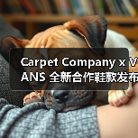 Carpet Company x VANS 全新合作鞋款发布（图2）