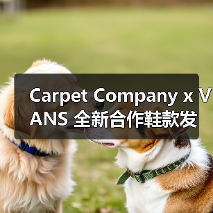 Carpet Company x VANS 全新合作鞋款发布