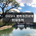 DIESEL 发布农历蛇年胶囊系列