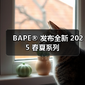 BAPE® 发布全新 2025 春夏系列