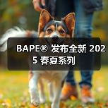 BAPE® 发布全新 2025 春夏系列(图2) BAPE® 发布全新 2025 春夏系列(图2)