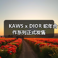 KAWS x DIOR 蛇年合作系列正式发售