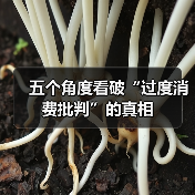 五个角度看破“过度消费批判”的真相(图3) 五个角度看破“过度消费批判”的真相(图3)