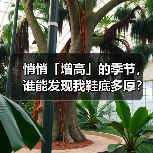 悄悄「增高」的季节，谁能发现我鞋底多厚？（图3）