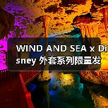 WIND AND SEA x Disney 外套系列限量发布（图4）
