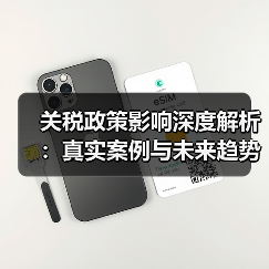 关税政策影响深度解析:真实案例与未来趋势展望(图2) 关税政策影响深度解析:真实案例与未来趋势展望(图2)