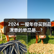 2024 一整年你买到最满意的单品是…?(图3) 2024 一整年你买到最满意的单品是…?(图3)