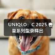 UNIQLO：C 2025 春夏系列型录释出（图4）