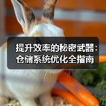 提升效率的秘密武器:仓储系统优化全指南(图4) 提升效率的秘密武器:仓储系统优化全指南(图4)