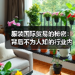 服装国际贸易的秘密:背后不为人知的行业内幕与实操技巧(图4) 服装国际贸易的秘密:背后不为人知的行业内幕与实操技巧(图4)