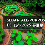 SEDAN ALL-PURPOSE® 发布 2025 春夏系列(图2) SEDAN ALL-PURPOSE® 发布 2025 春夏系列(图2)